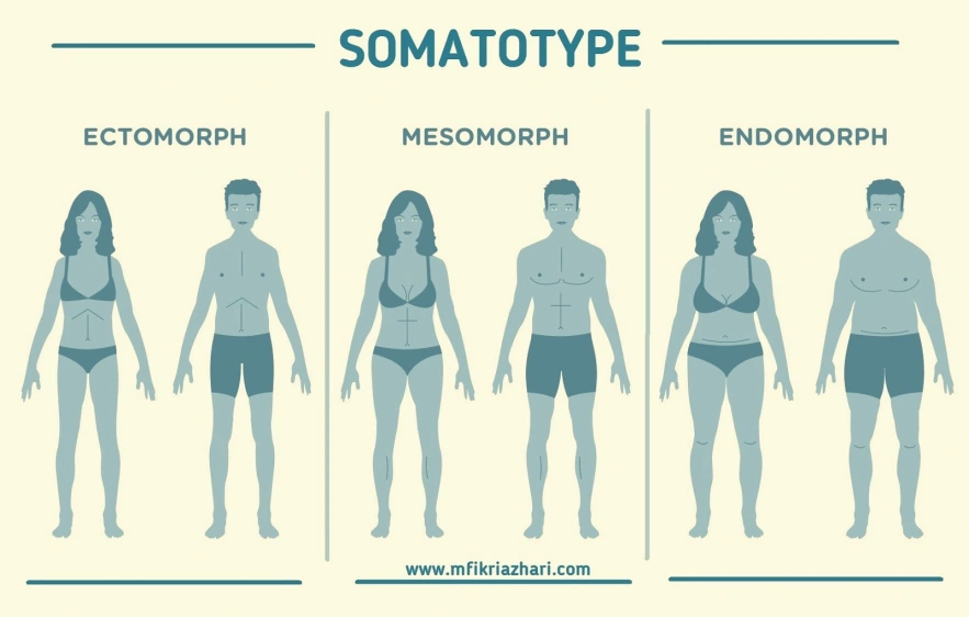 Somatotype. Image by mfikriazhari.