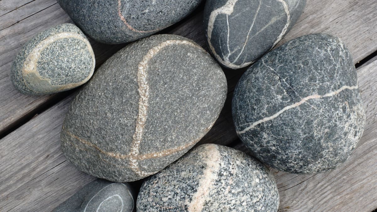 Apa Itu Metode Gray Rock