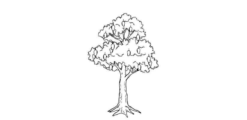 Apa Itu Tes BAUM