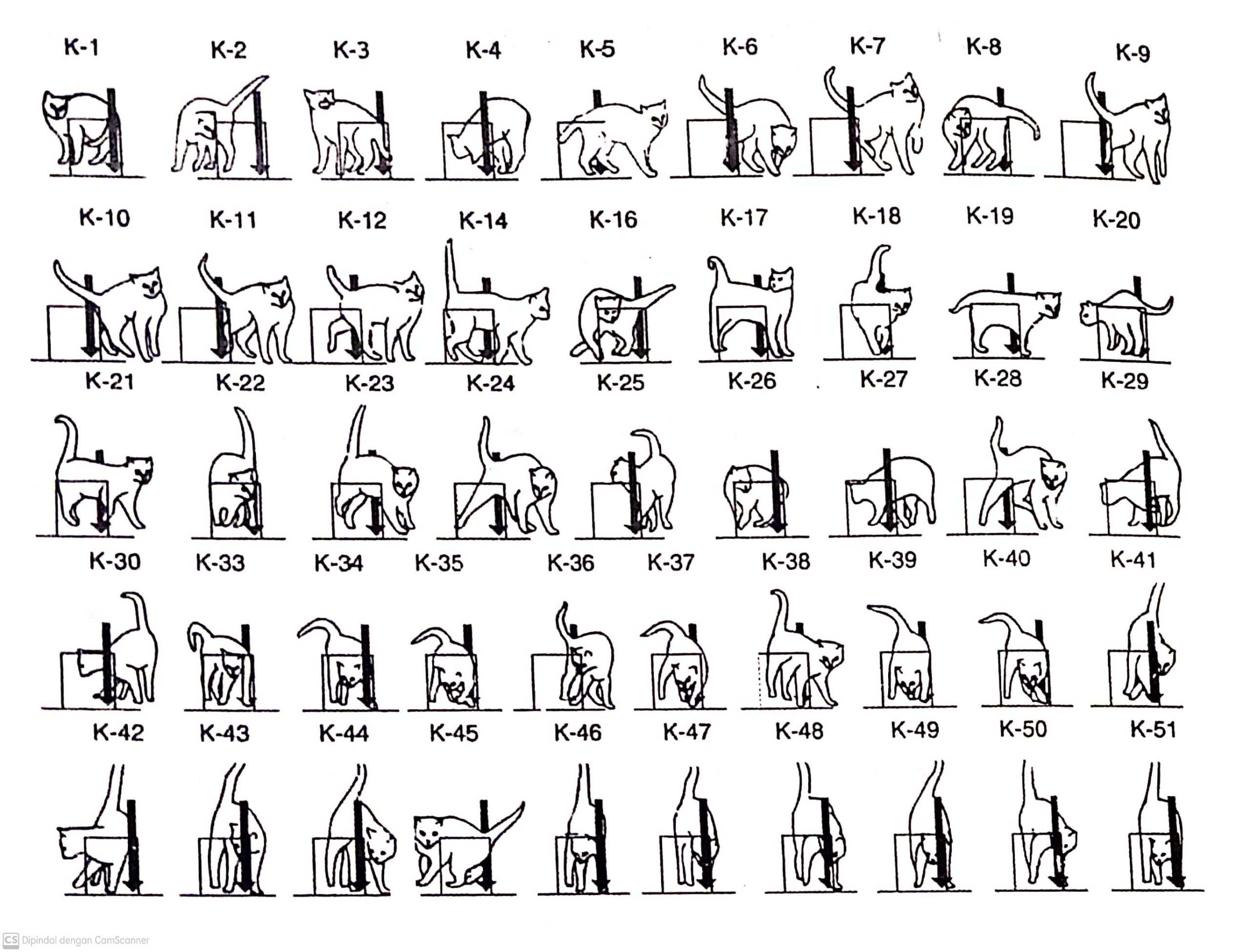 Penelitian Eksperimen Cats in a Puzzle Box (Guthrie dan Horton: 1946).