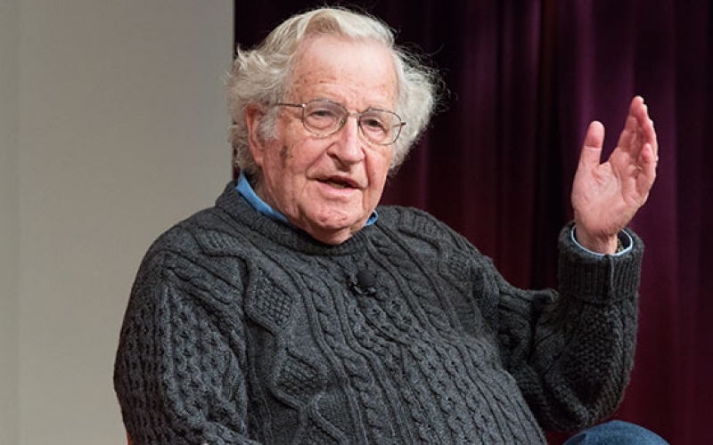 Noam Chomsky. Image by harvard.edu.