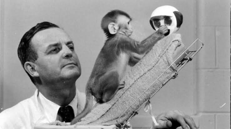 Harry Harlow. Image by Misfit Mementos.